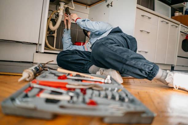 Best Affordable Plumber Near Me  in Hollandale, MS