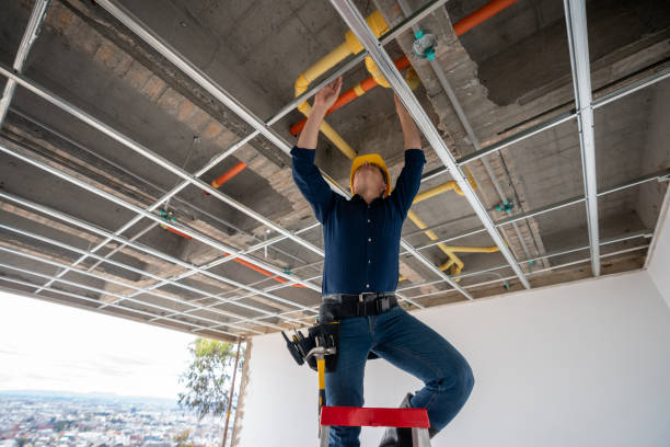 Best Affordable Plumbing Services  in Hollandale, MS